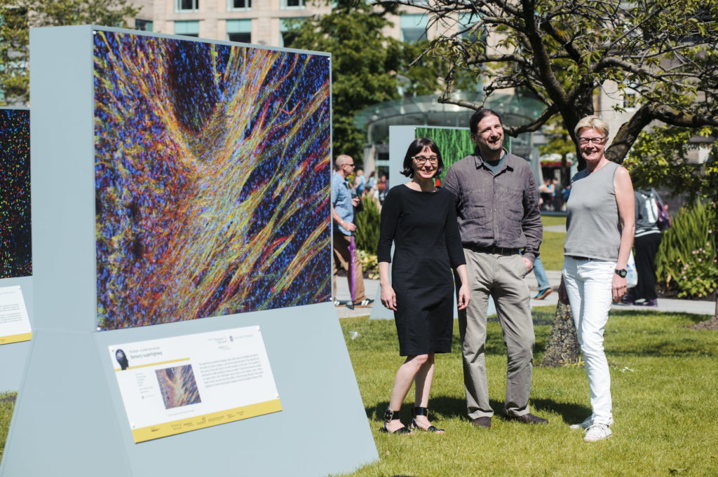 EDINBURGH, UK - June 2014: Bold and striking images capturing the beauty and complexity of the brain have gone on display in St Andrew Square, Edinburgh, showcasing world leading research by scientists at the University of Edinburgh. The exhibition titled "The brain - is wider than the sky" seeks to improve our understanding of the brain and how it is damaged in people with learning disabilities and other neurological conditions. Pictured Peter Kind, Professor of Developmental Neuroscience talks with Sophie Dow (grey top), founder of Mindroom and co-curator of the exhibition and Dr Sally Till, Centre for Integrative Physiology, next to a picture showing a sensory superhighway where information is carried to the cerebral cortex.(Photograph: MAVERICK PHOTO AGENCY)